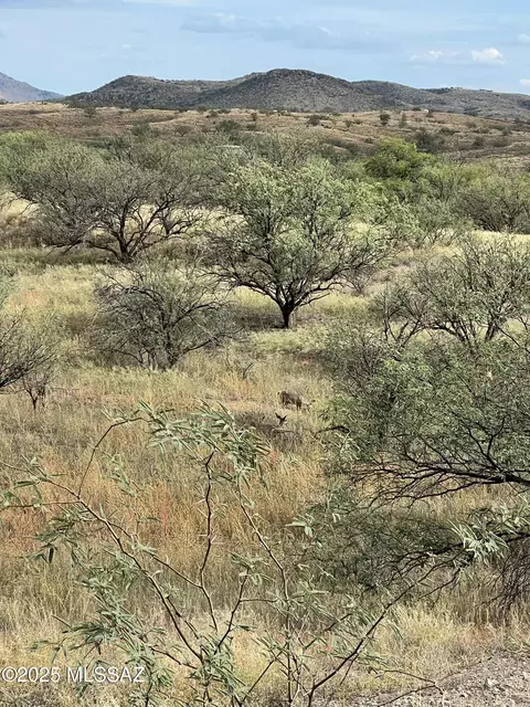 37101 S Desert Bloom Trl, Arivaca, AZ 85601