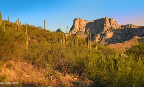 10576 N Buck Ridge Dr, Oro Valley, AZ 85737