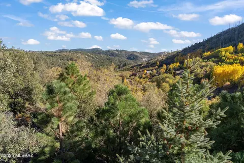 Other - 11035 E Flicker Ln, Mount Lemmon, AZ 85619 photo 6 of 9
