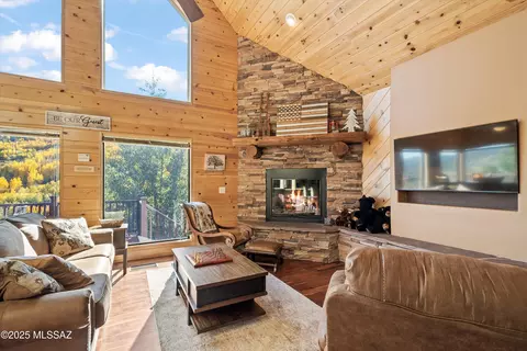 Living - 11035 E Flicker Ln, Mount Lemmon, AZ 85619 photo 3 of 4