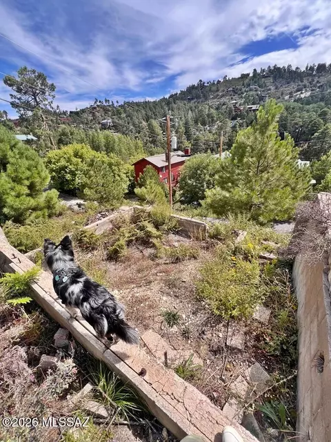 12773 N Phoenix Ave, Mount Lemmon, AZ 85619