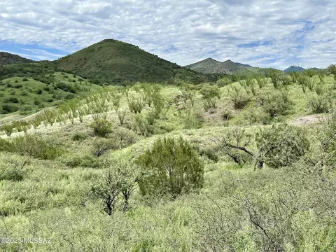 00 Proctor Ln #E-3, Patagonia, AZ 85624