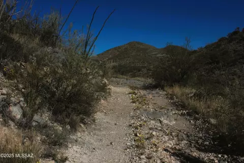 21175 S Red Cloud Mine Rd, Vail, AZ 85641 photo 6