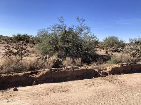 15641671 W Guy St, Tucson, AZ 85736
