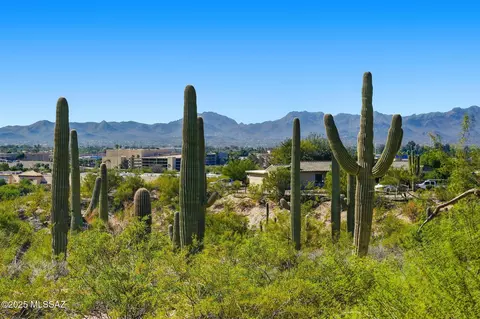 Other - 209 E River Rd, Tucson, AZ 85704 photo 10 of 11