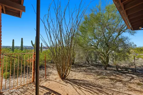Exterior - 209 E River Rd, Tucson, AZ 85704 photo 10 of 11