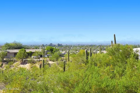 Other - 209 E River Rd, Tucson, AZ 85704 photo 11 of 11