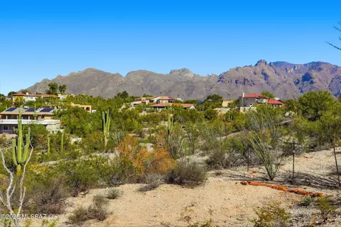 View/Area - 209 E River Rd, Tucson, AZ 85704 photo 1 of 1