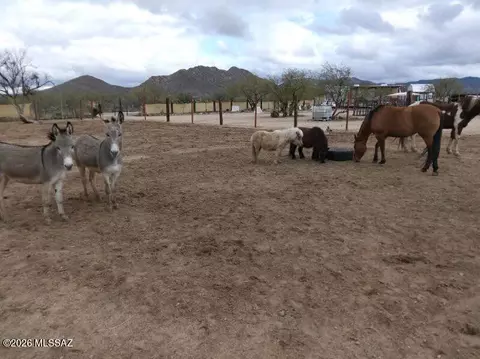 15246 S Carlsburg Ave, Tucson, AZ 85736