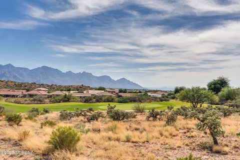 Other - 62159 E Iron Crest Dr, Tucson, AZ 85739 photo 13 of 14