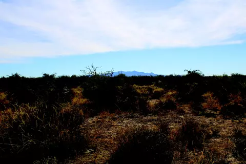 10 E Acres E Roadrunner Ln, Pearce, AZ 85625 photo 21