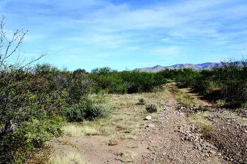 10 E Acres E Roadrunner Ln, Pearce, AZ 85625 photo 10