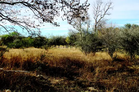 10 E Acres E Roadrunner Ln, Pearce, AZ 85625 photo 24