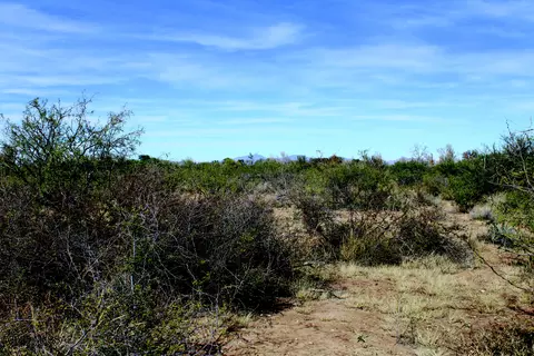 10 E Acres E Roadrunner Ln, Pearce, AZ 85625 photo 11