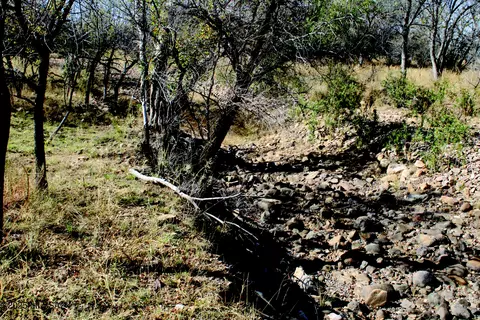 10 E Acres E Roadrunner Ln, Pearce, AZ 85625
