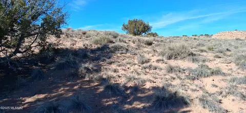 3 02 Acres Unnamed Rd, Sanders, AZ 86512