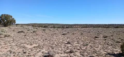 1 06 Acres Blackfoot Trl #71, Sanders, AZ 86512