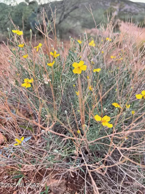 00 Justa Rd, Vail, AZ 85641 photo 30