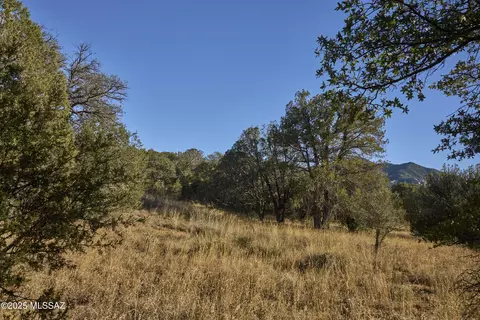 tbd Paradise Rd, Portal, AZ 85632