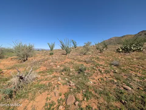 384 Esponja Ct, Rio Rico, AZ 85648