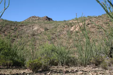 37 Copper Canyon Rd, Tumacacori, AZ 85640