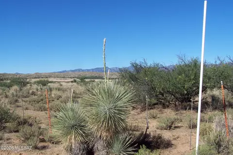 81 S 24ac S Warpaint Path #13&14, Willcox, AZ 85643 photo 7