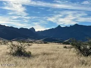 tbd Newland St Vacant Parcel, Pearce, AZ 85625