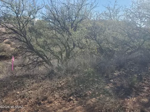 909 Paseo Los Mochis, Rio Rico, AZ 85648