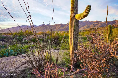 12650 E Roger Rd, Tucson, AZ 85749