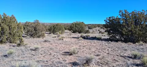38 Acres 24 County Rd N6578, Saint Johns, AZ 85936