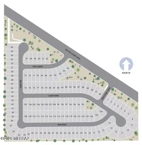 View/Area - 12704 E Caden Dr, Vail, AZ 85641 photo 1 of 1
