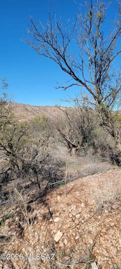 1376 San Blas Ct, Rio Rico, AZ 85648