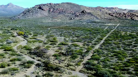 40 E Acres E Pebble Rd, Douglas, AZ 85607