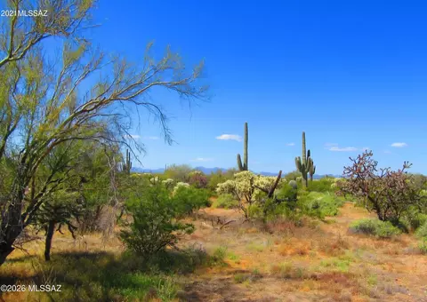 E Amber Sunrise Drive, Marana, AZ 85658