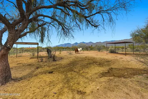3121 N Conestoga Ave, Tucson, AZ 85749