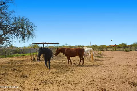 3121 N Conestoga Ave, Tucson, AZ 85749