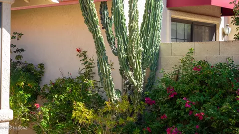 Exterior - 310 E Highcourte Ln, Tucson, AZ 85737 photo 6 of 8