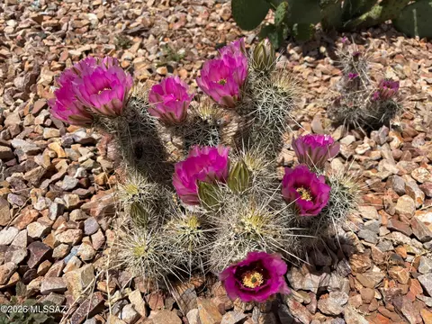 Other - 905 E Clouse St, Pearce, AZ 85625 photo 2 of 16