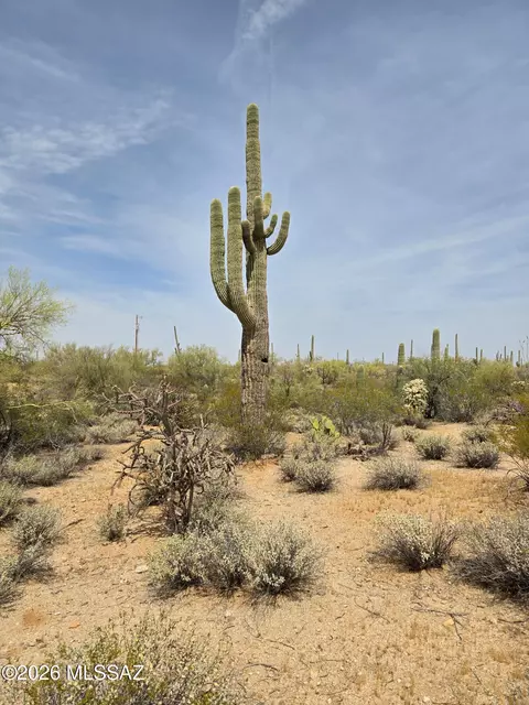 304-07 E 004 E Holt Ln, Marana, AZ 85658