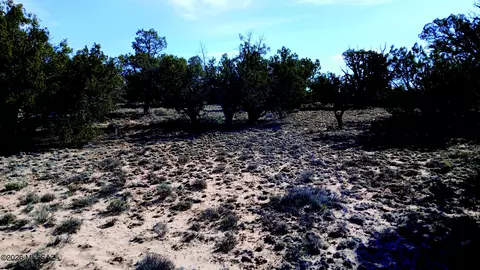 8 98 Acres N7407, Sanders, AZ 86512