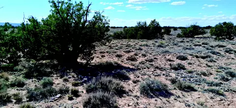 10 1 Acres Unnamed Rd, Sanders, AZ 86512