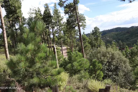 12718 N Upper Loma Linda Rd, Mount Lemmon, AZ 85619