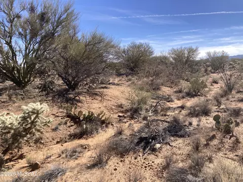 16310 W Renner Ave, Tucson, AZ 85736