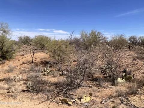 16286 W Renner Ave, Tucson, AZ 85736