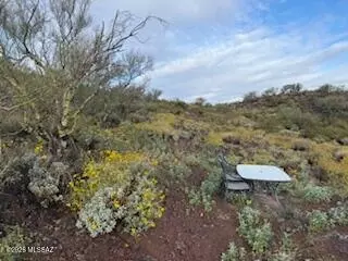 11409 E Calle Catalina # A, Tucson, AZ 85748