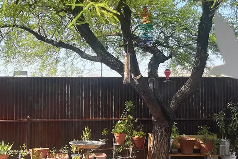 Exterior - 1130 E Spring St, Tucson, AZ 85719 photo 9 of 14