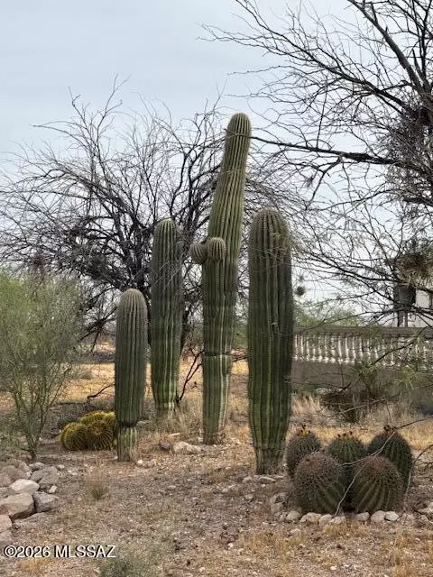 11380 W Valencia Rd, Tucson, AZ 85735