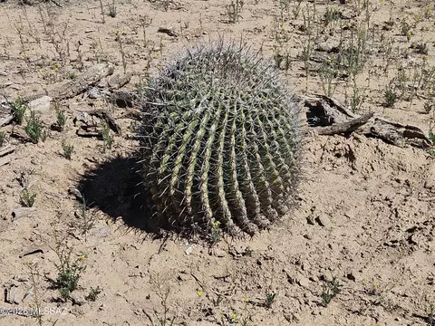 73 5 Acres Ocotillo Rd, Benson, AZ 85602 photo 20