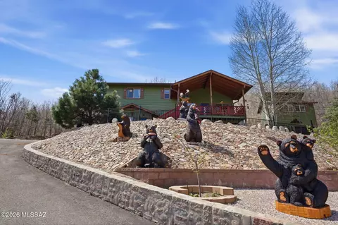 Exterior - 11060 E Carter Canyon Rd, Mount Lemmon, AZ 85619 photo 2 of 11
