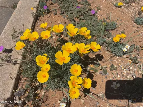 Vacant Lot E Justin Street, Pearce, AZ 85625